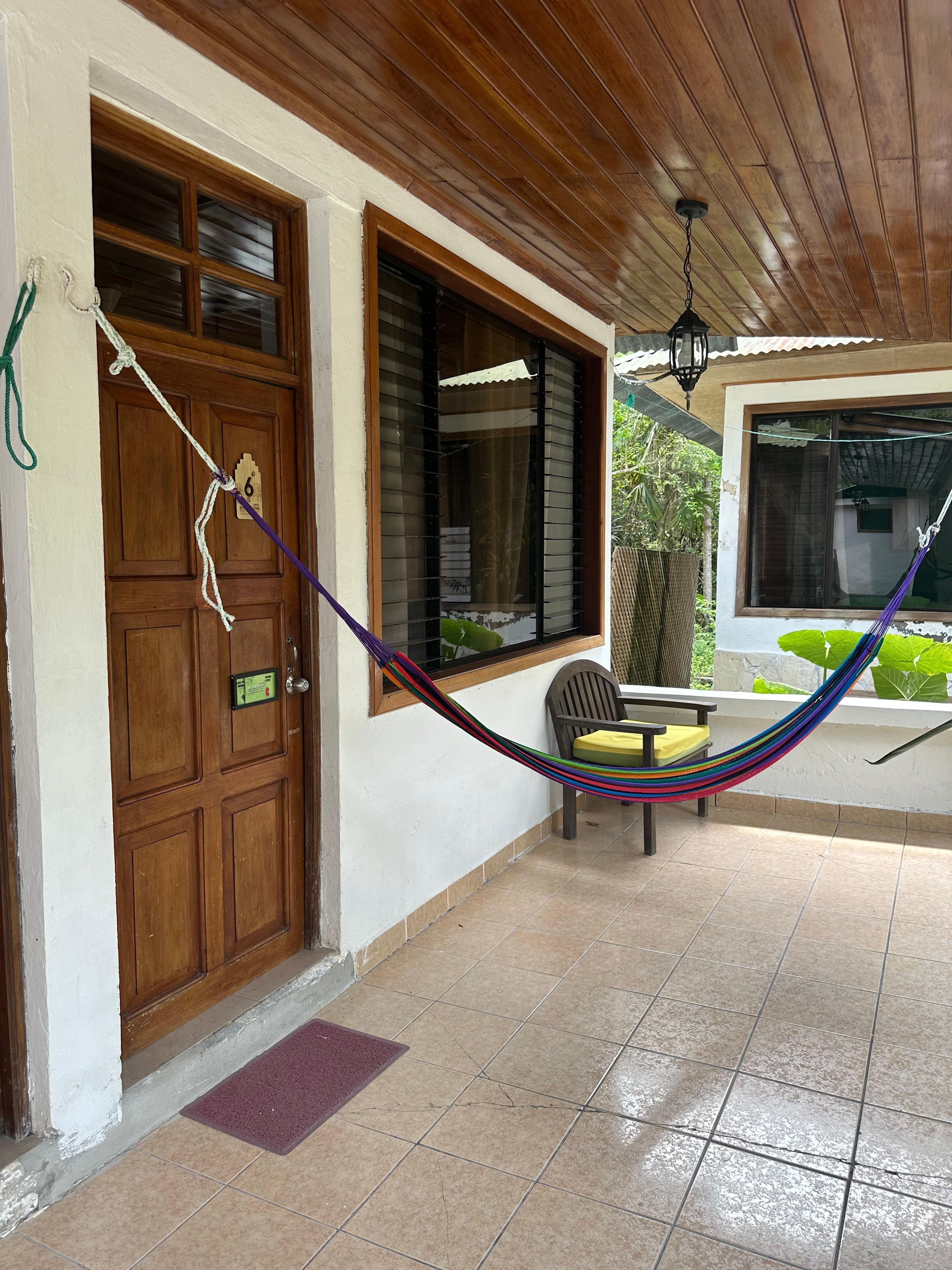 Heliconia plants outside the room