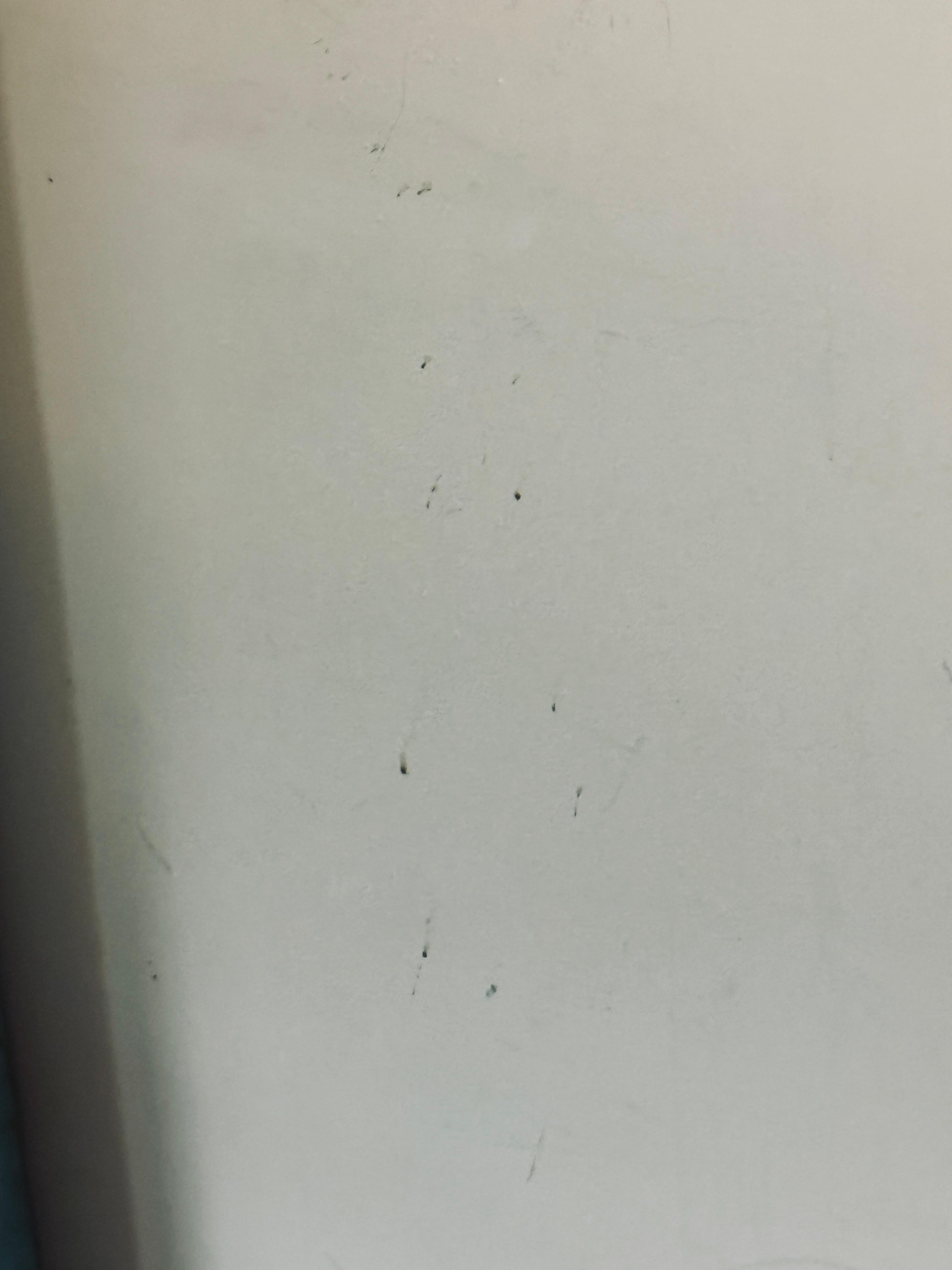 Cast on a wall not sure of substance.