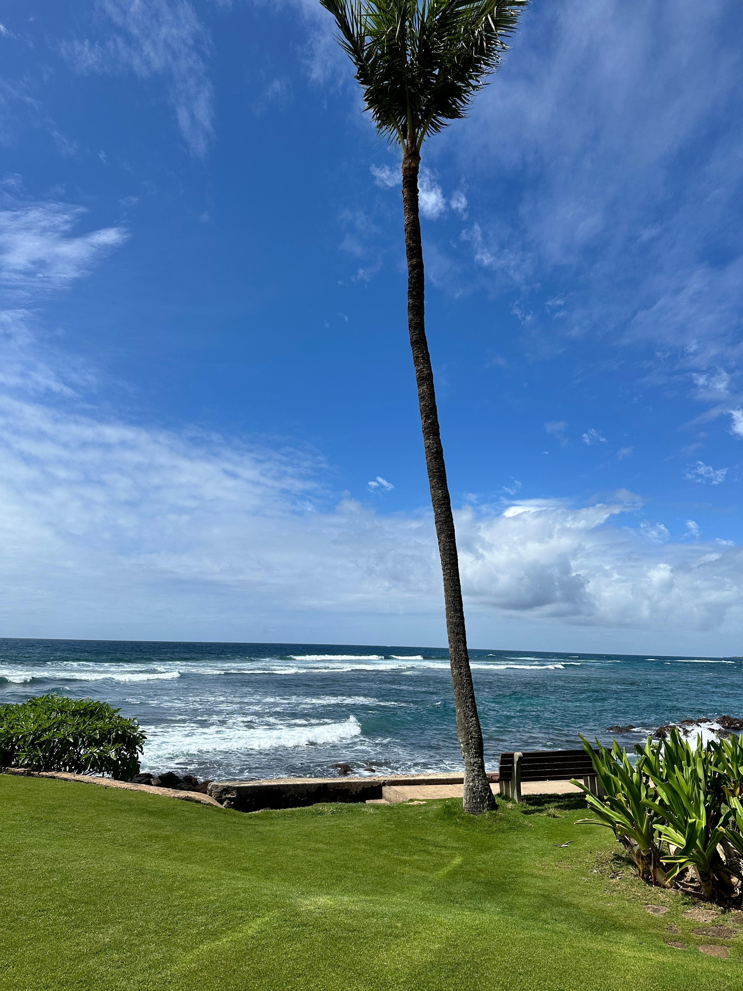 View form the patio and living room 