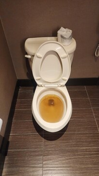 What toilet looked like due to no running water.
