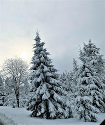Verschneite Landschaft auf dem Weg zum Fichtelberg