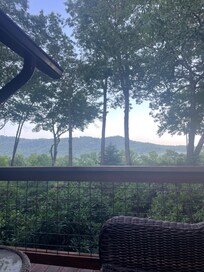 View from the porch in the morning