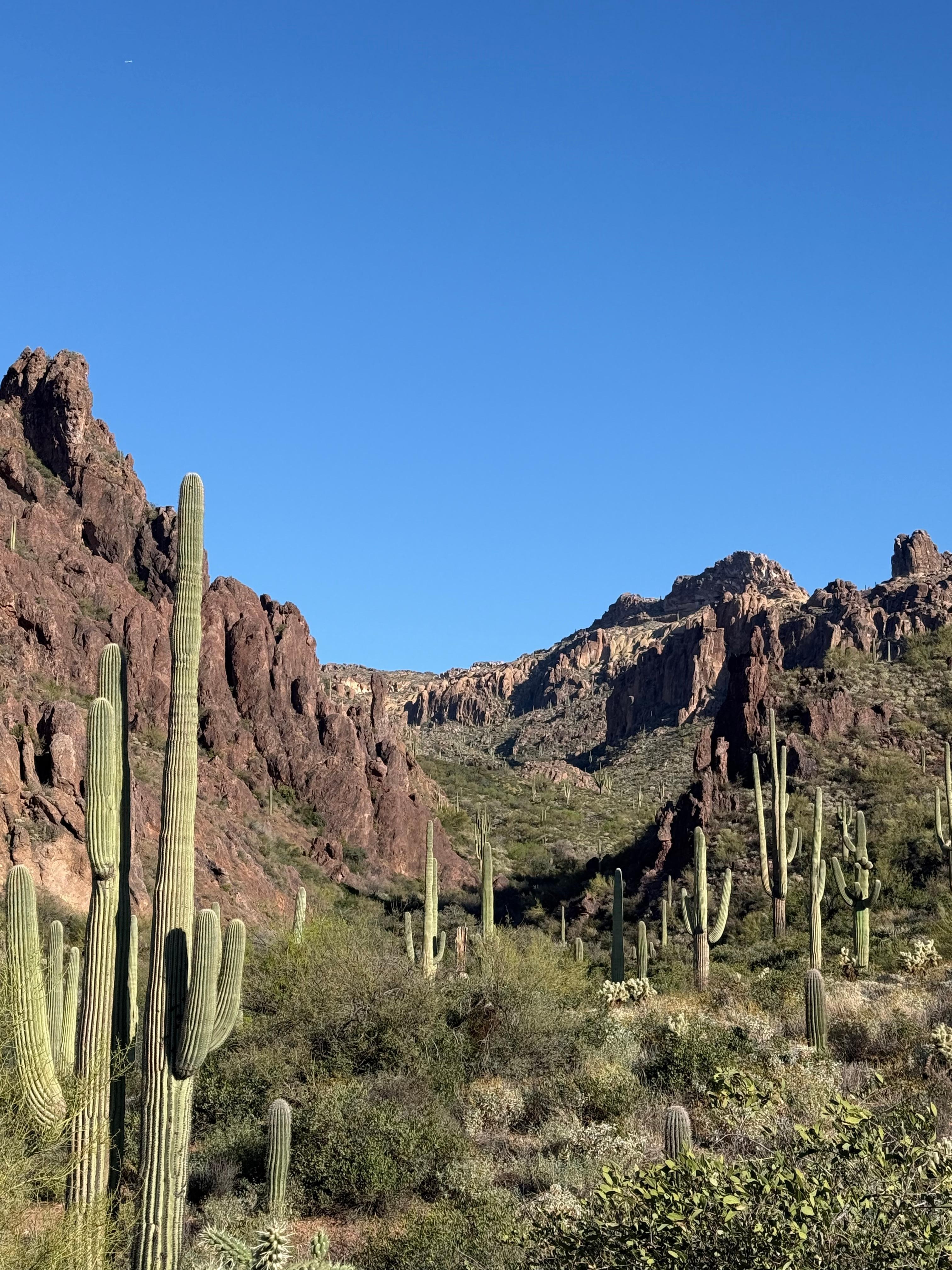 Superstition Wilderness
