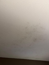 Mold on the ceiling in the room, plus throughout other places in the hotel