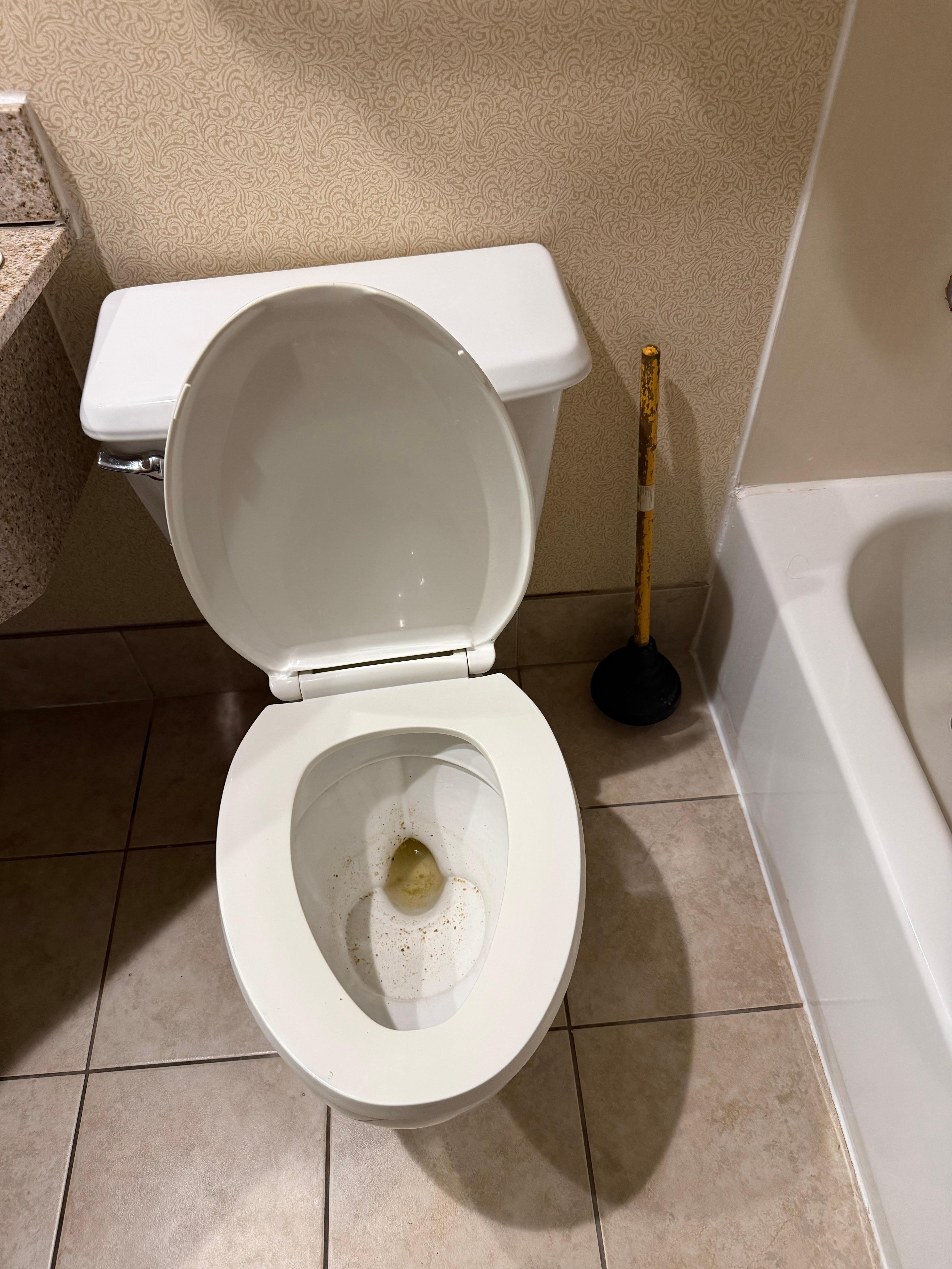 Nasty plunger in the corner with fecal matter on it