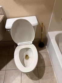 Nasty plunger in the corner with fecal matter on it