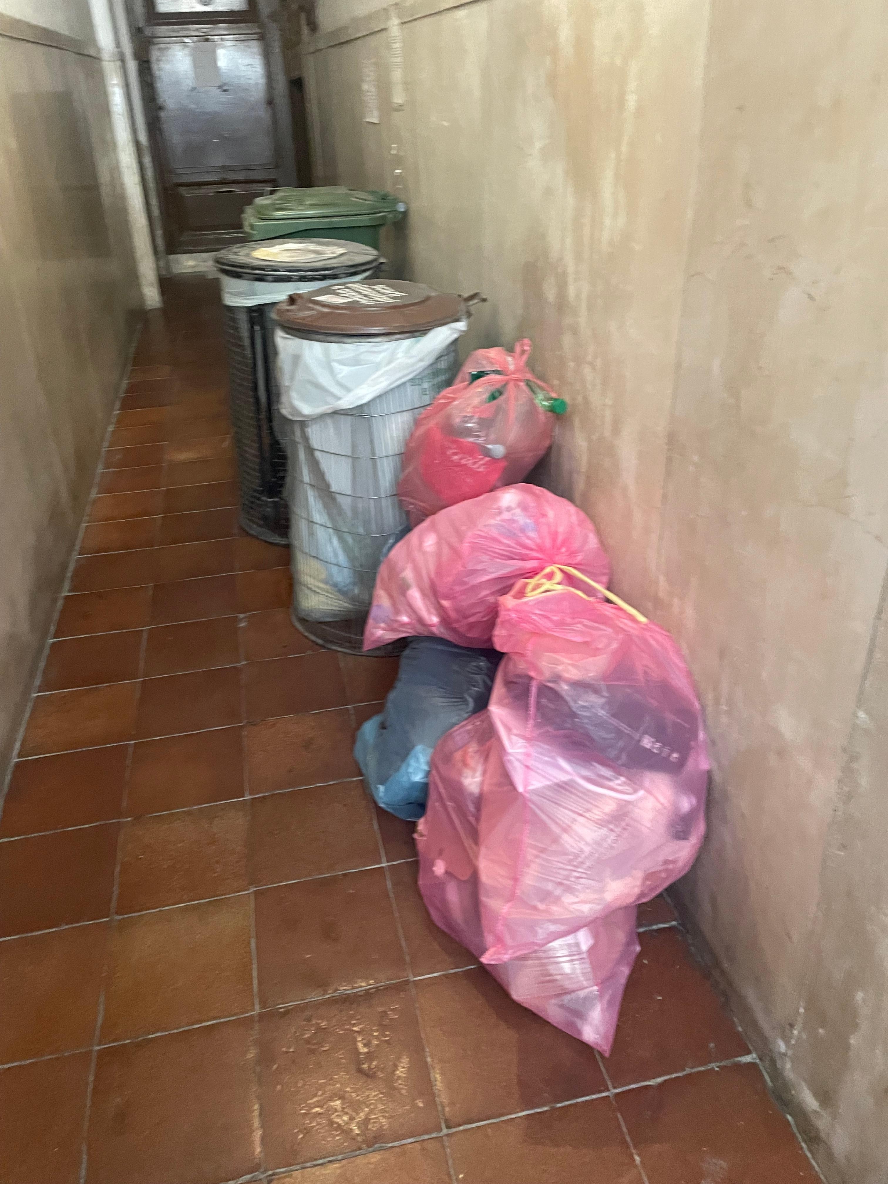 Here’s the view from the entrance. You also have to pass by trash 😂