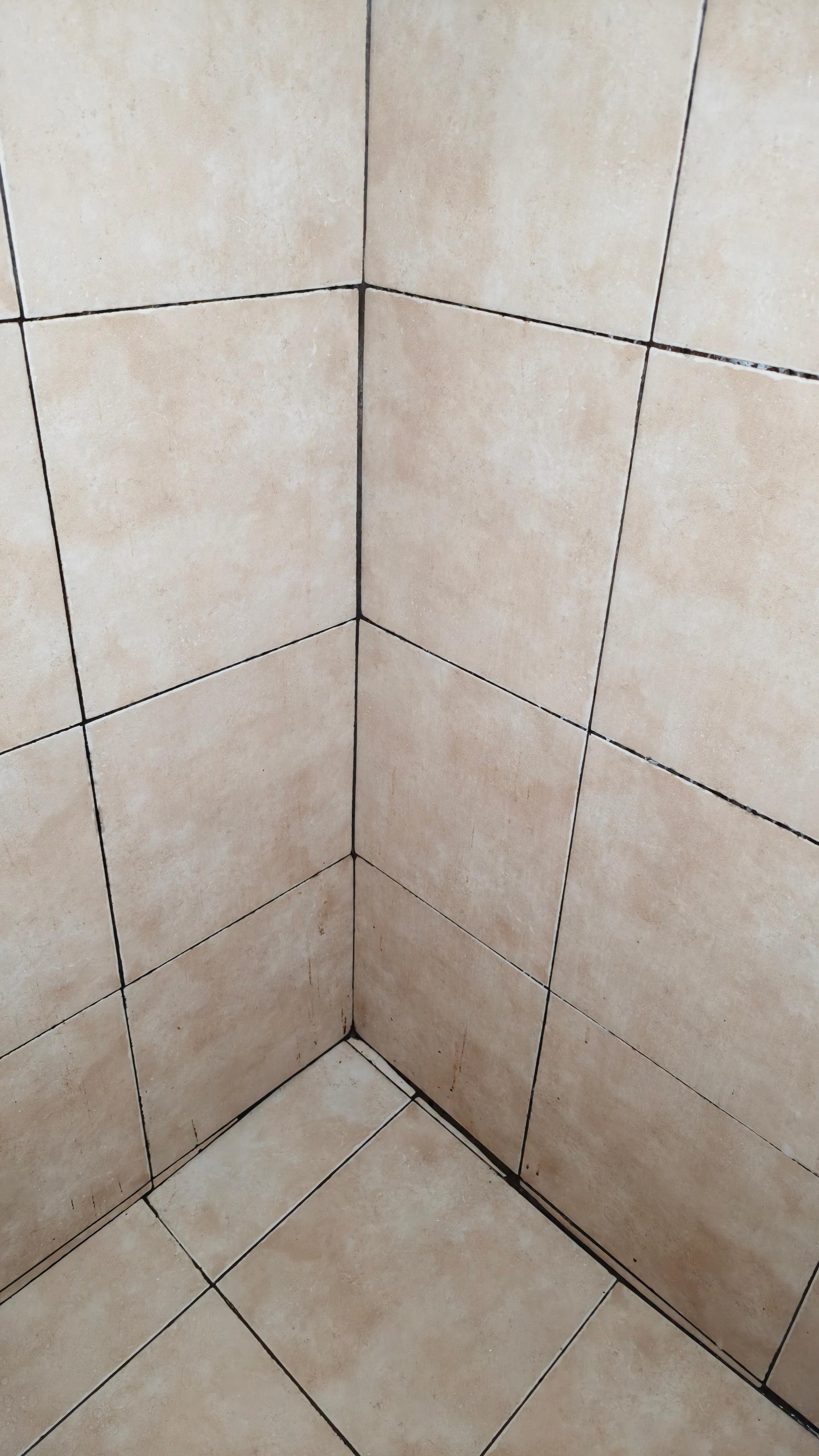 El área de la regadera muy sucia