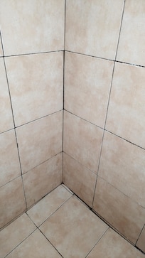 El área de la regadera muy sucia