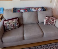 Couch and blanket that pets and service animals were requested not to use