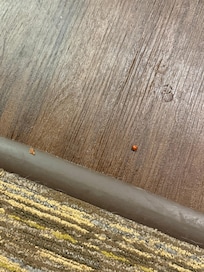 Crumbs all over the floor.