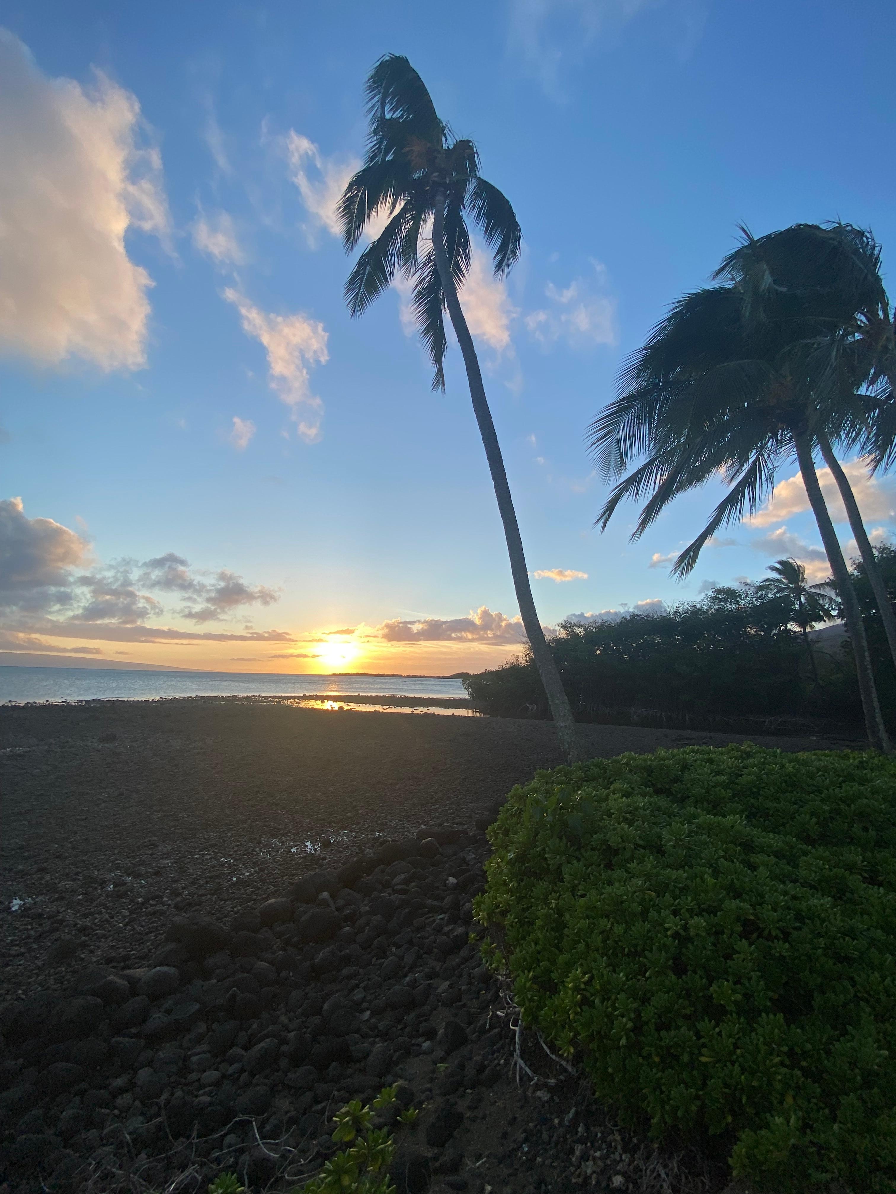 Step out of the condo and look west for the sunset!