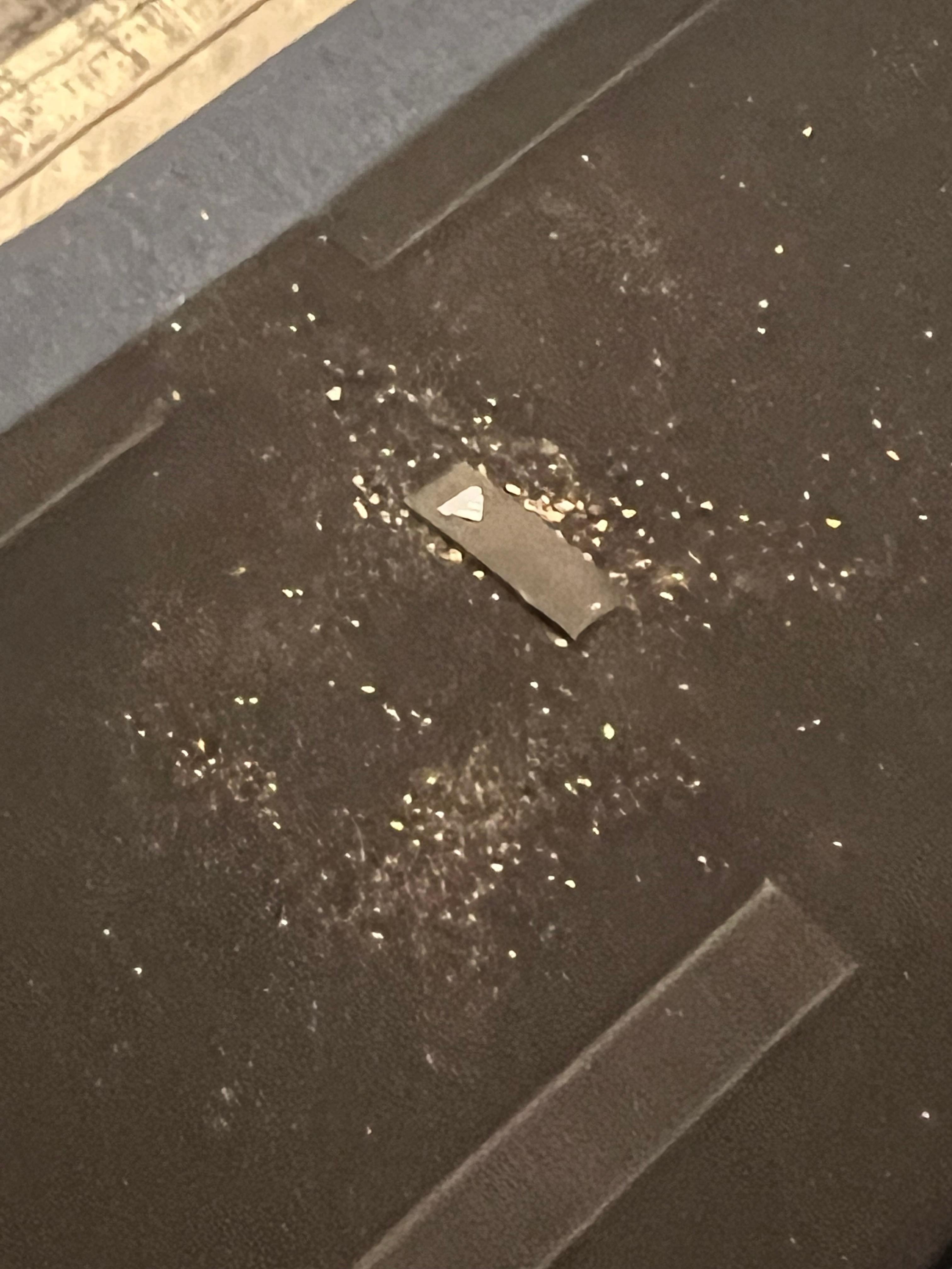 Filthy navy couch left me getting bit by pest. I deep clean this myself.