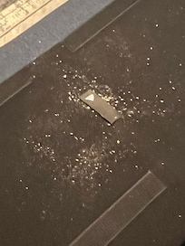 Filthy navy couch left me getting bit by pest. I deep clean this myself.