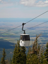 Tram ride