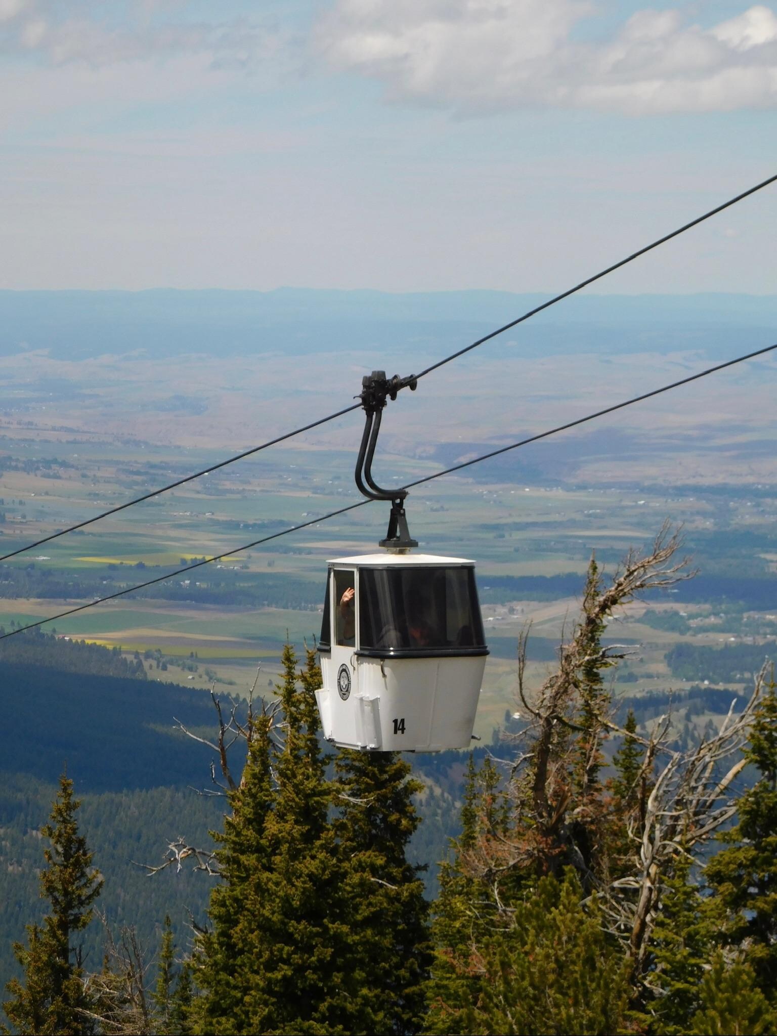 Tram ride