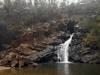 The Blow Hole (10 min drive away)