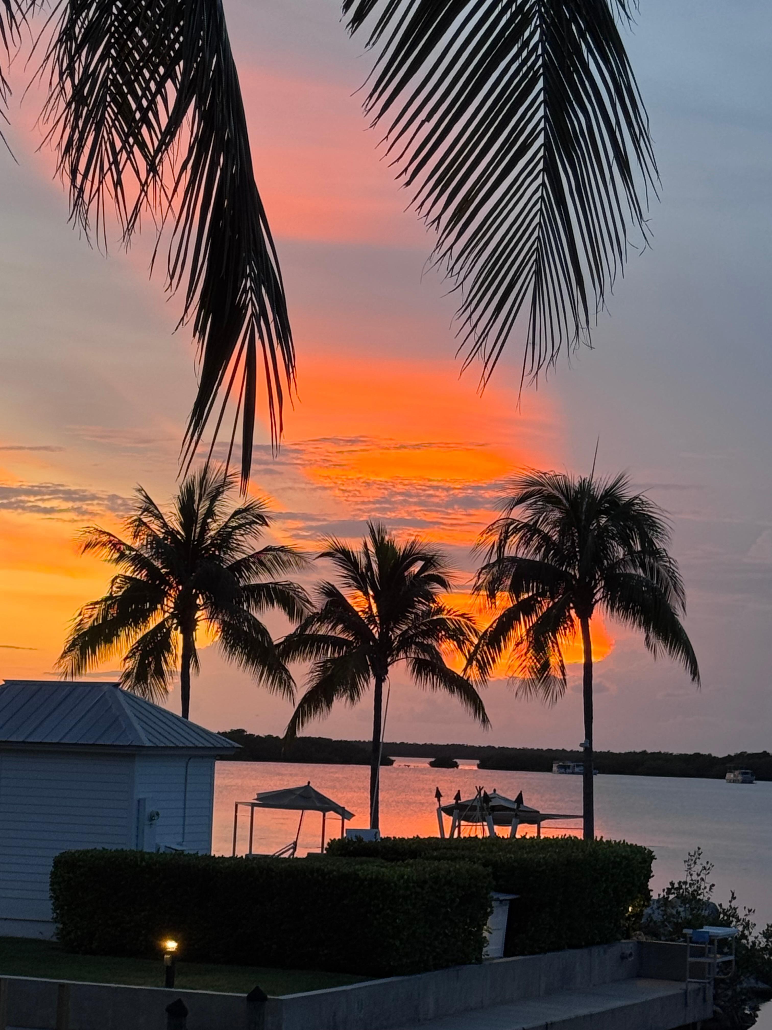 View from patio