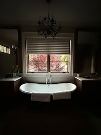 Master bathroom. Absolutely gorgeous.