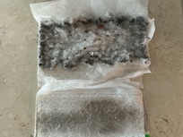 grime when I cleaned the floors at check in