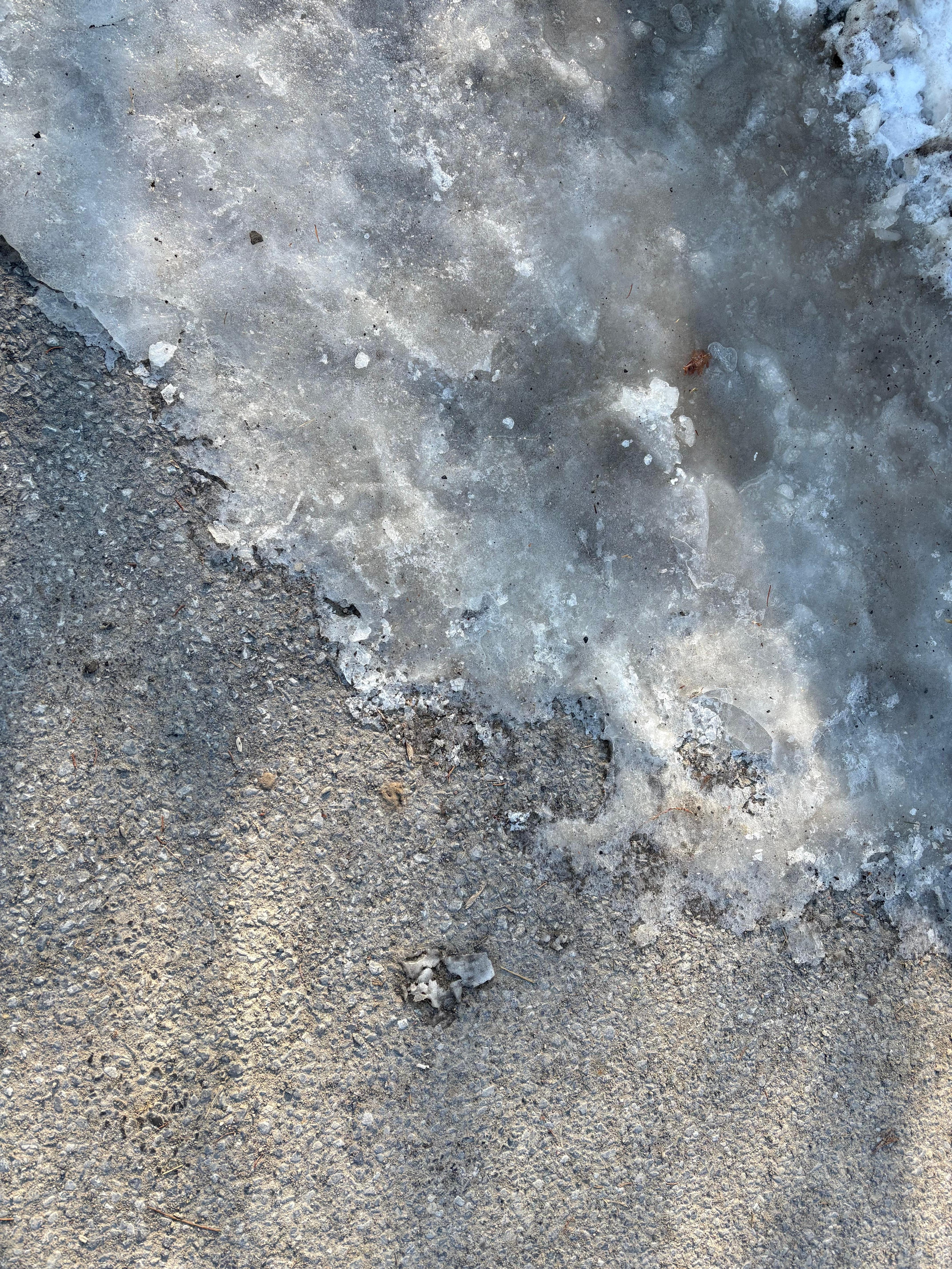 Ice covered walkway!