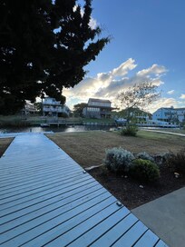 Backyard looking southeast