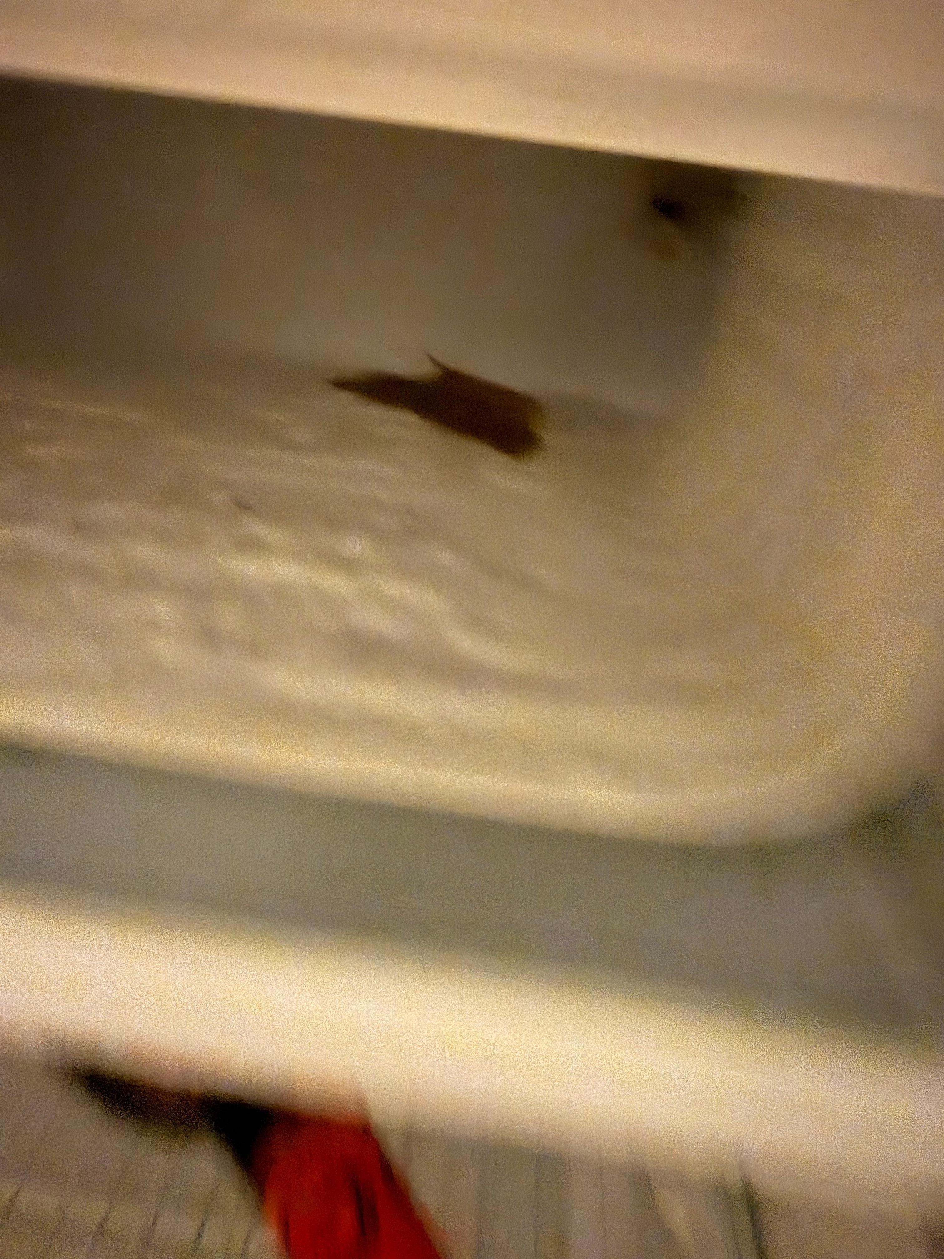 Refrigerator wasn’t cleaned well