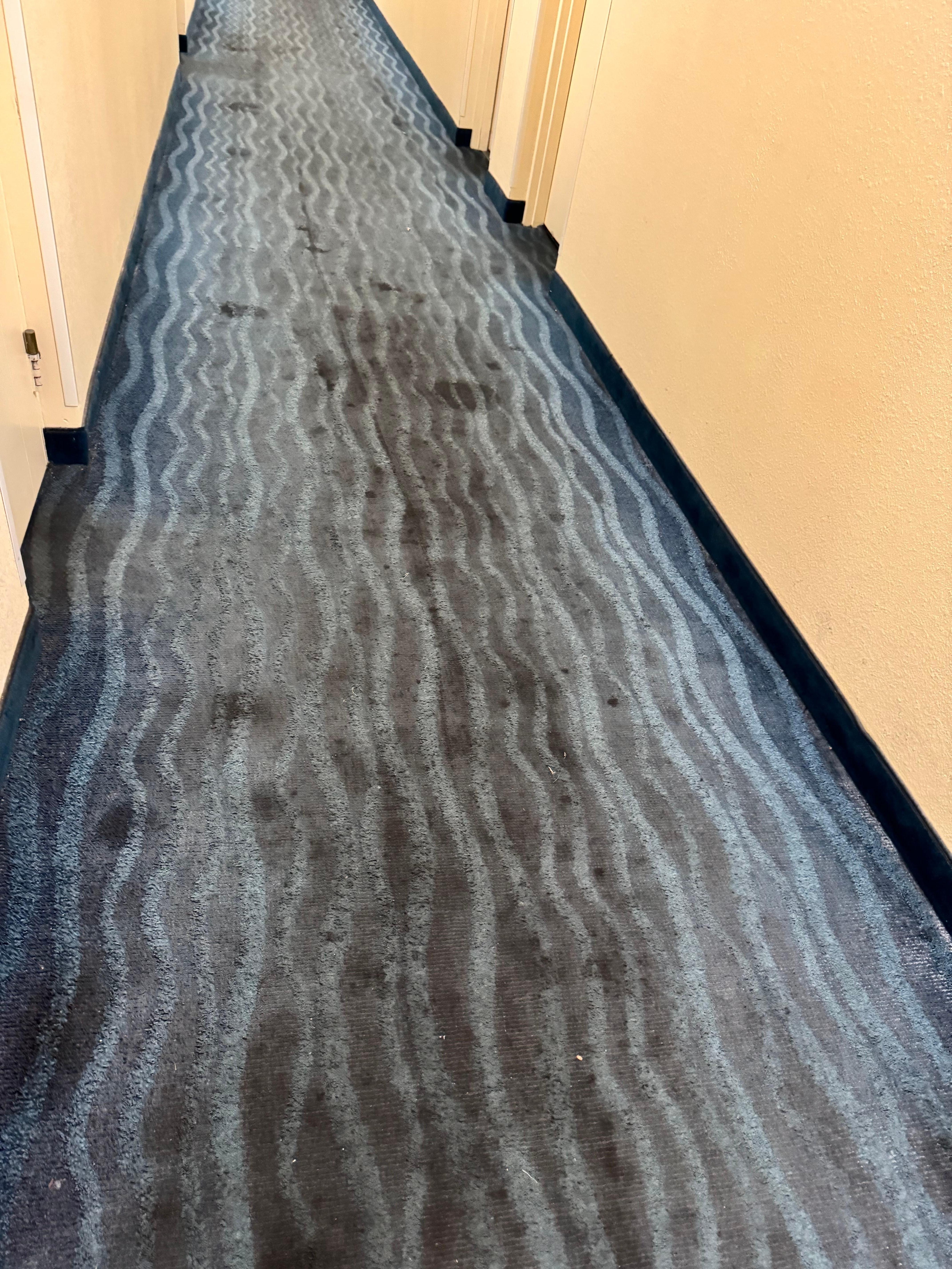 Hall way.  This was like this down the entire hall!