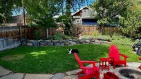 Lola enjoying the yard.