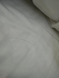 髪の毛が毎日落ちている。私の髪色は黒ではないので、私のものではない。