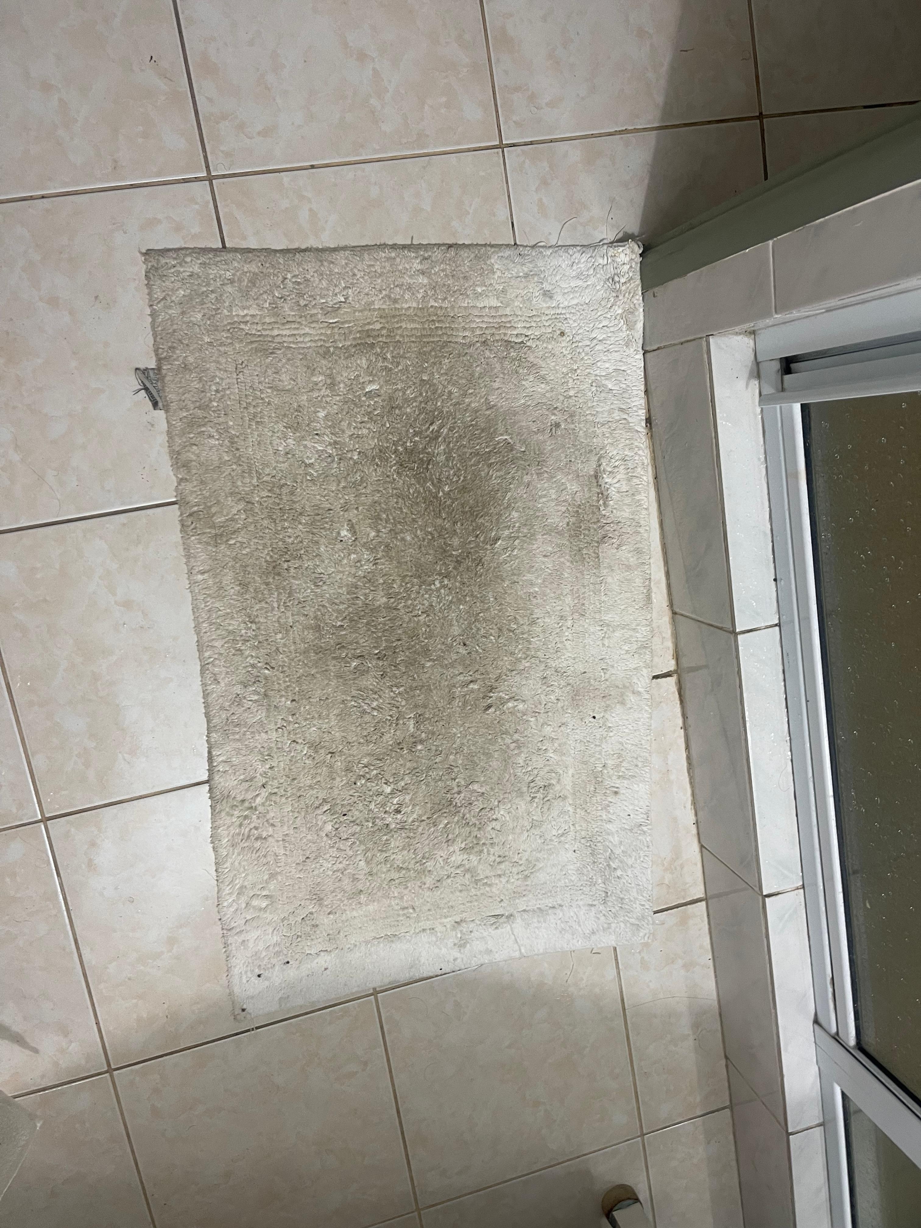 Tapis après passage du menage