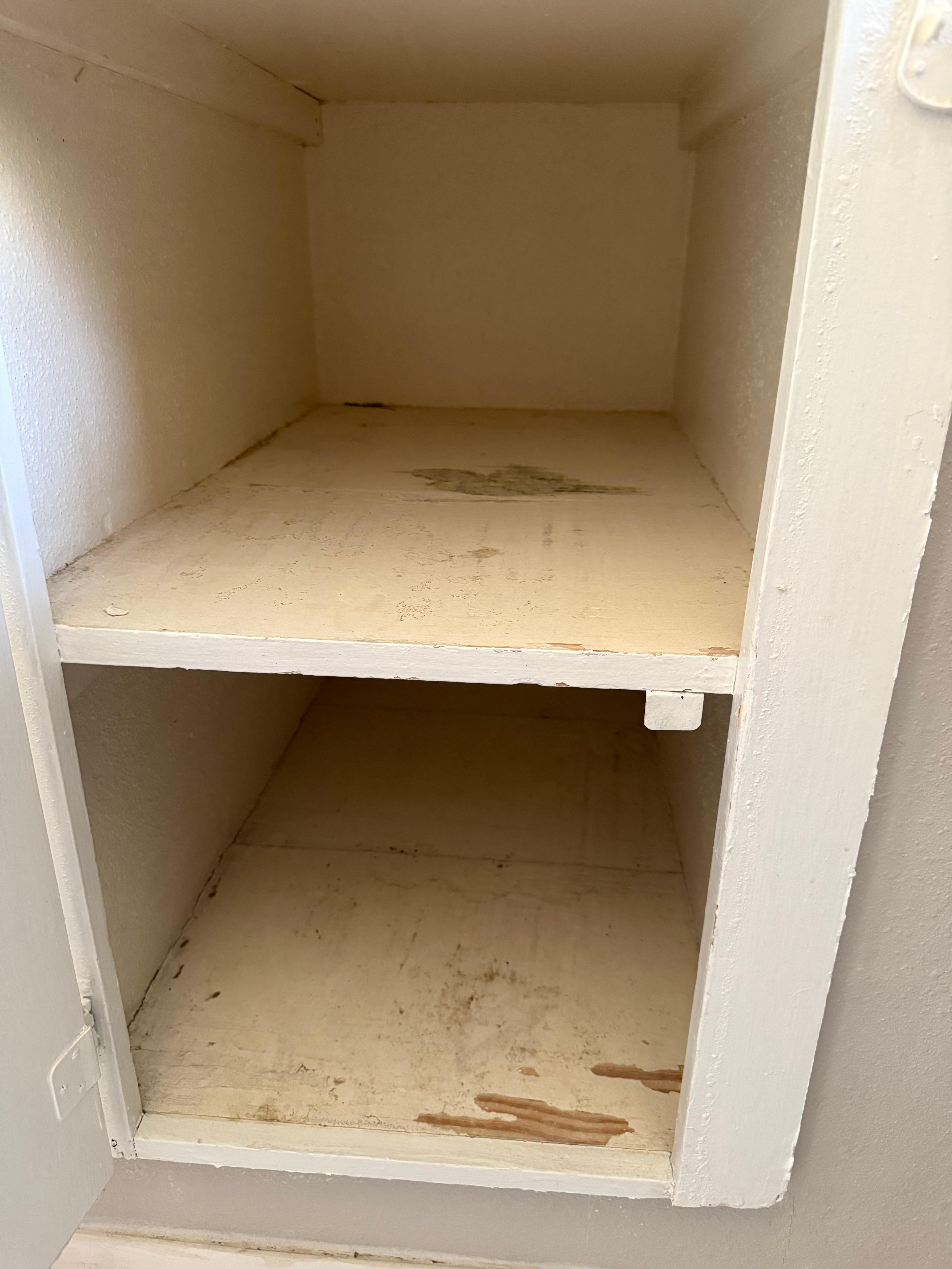 Inside of the primary bathroom cabinet. 