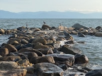 Vista al mar