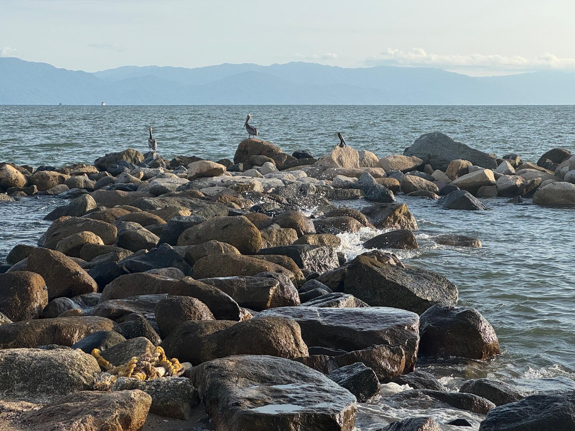 Vista al mar