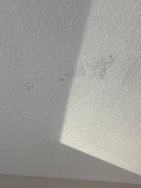 Mold!!!