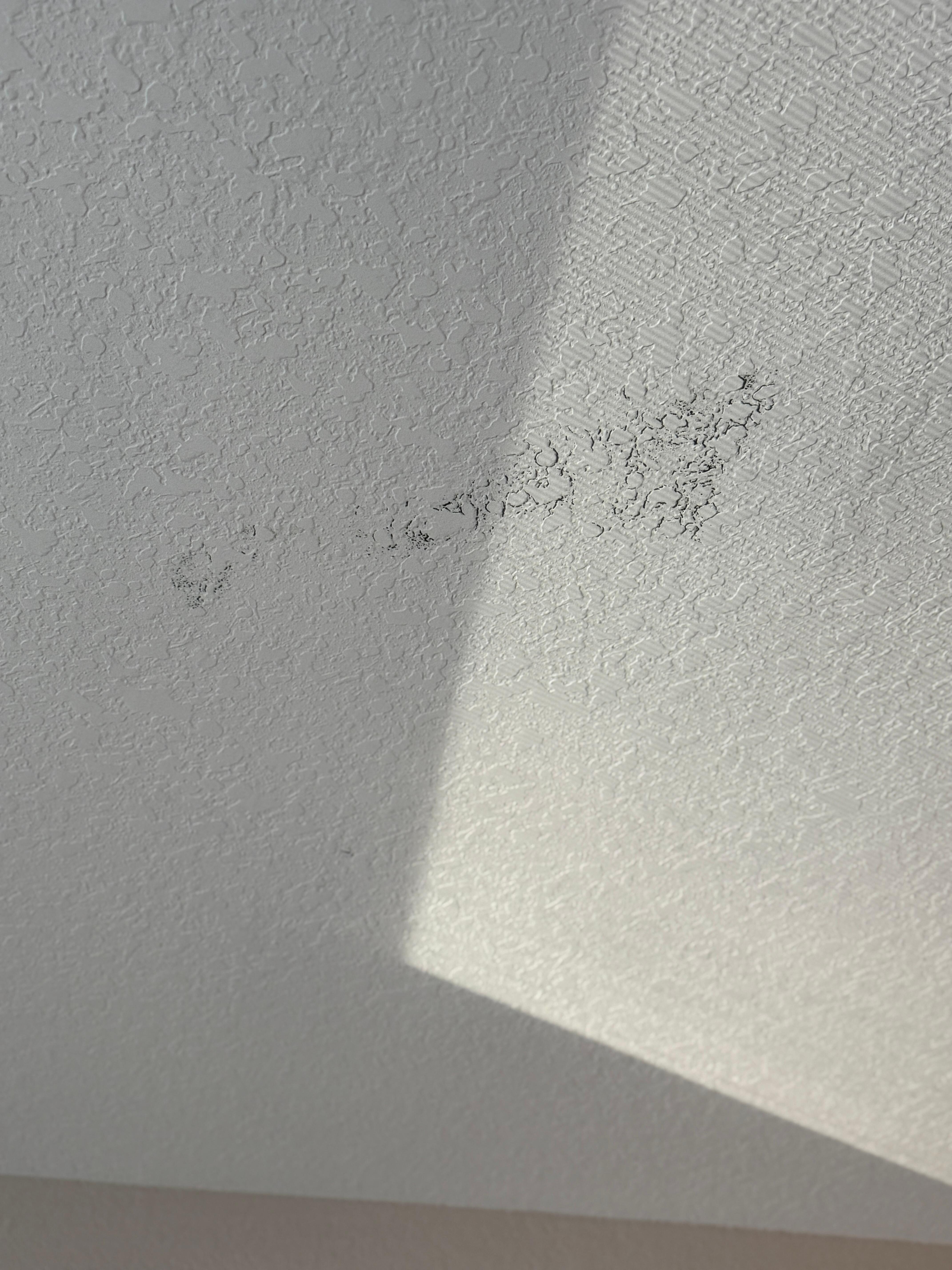 Mold!!!