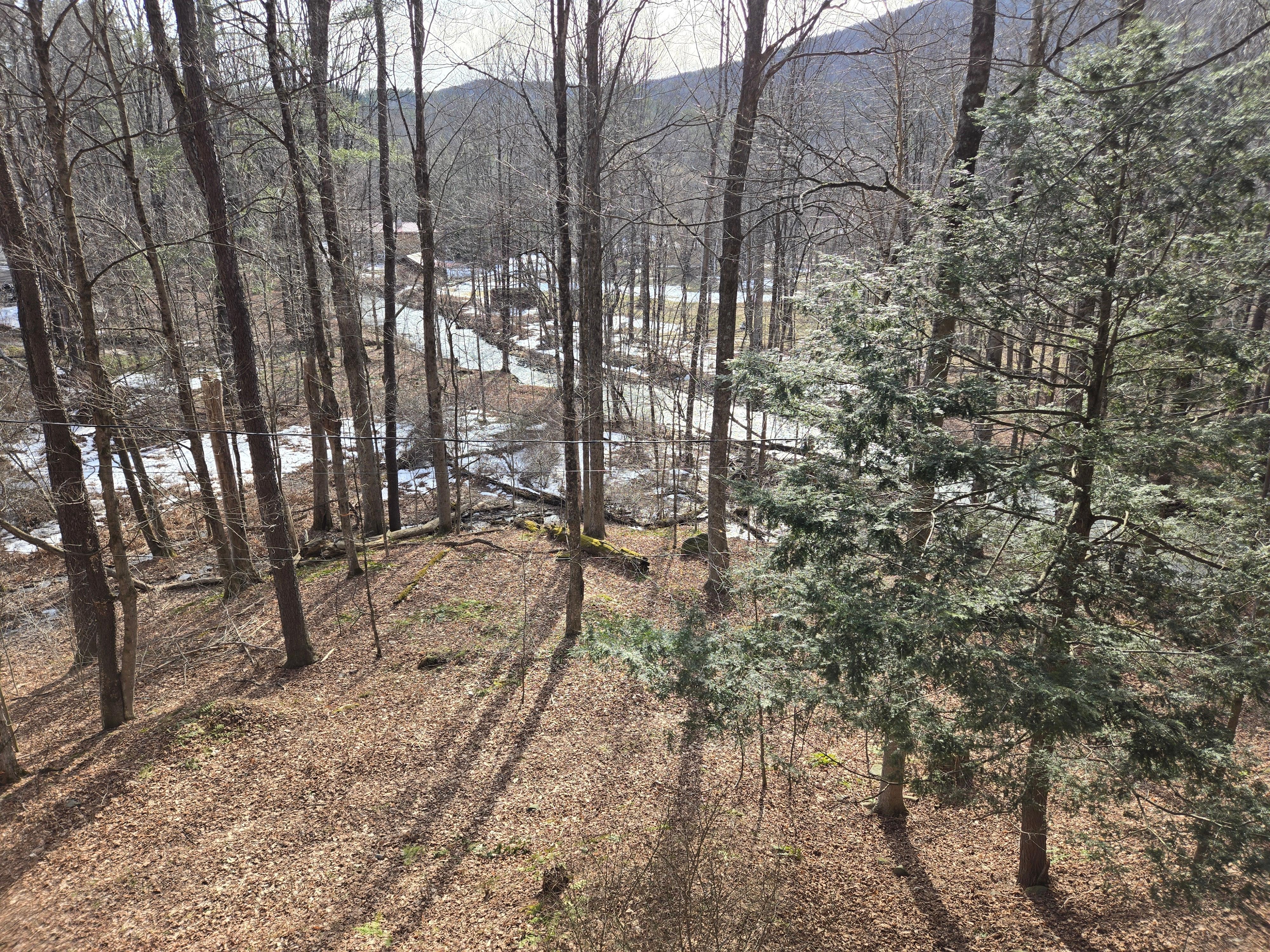 View from the living room porch