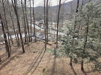 View from the living room porch