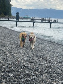 Fun time at the beach!