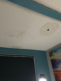Water damaged ceiling