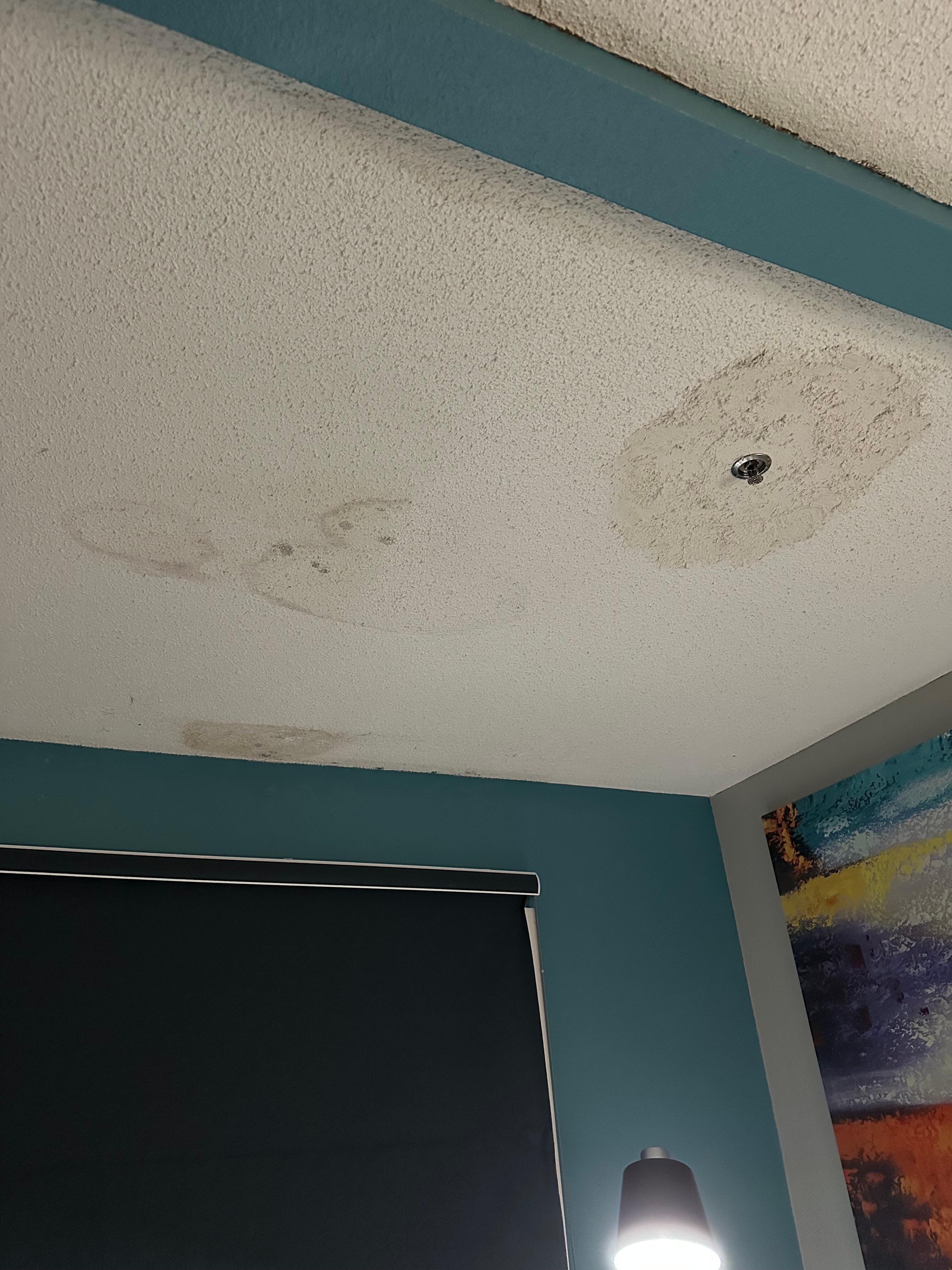 Water damaged ceiling 