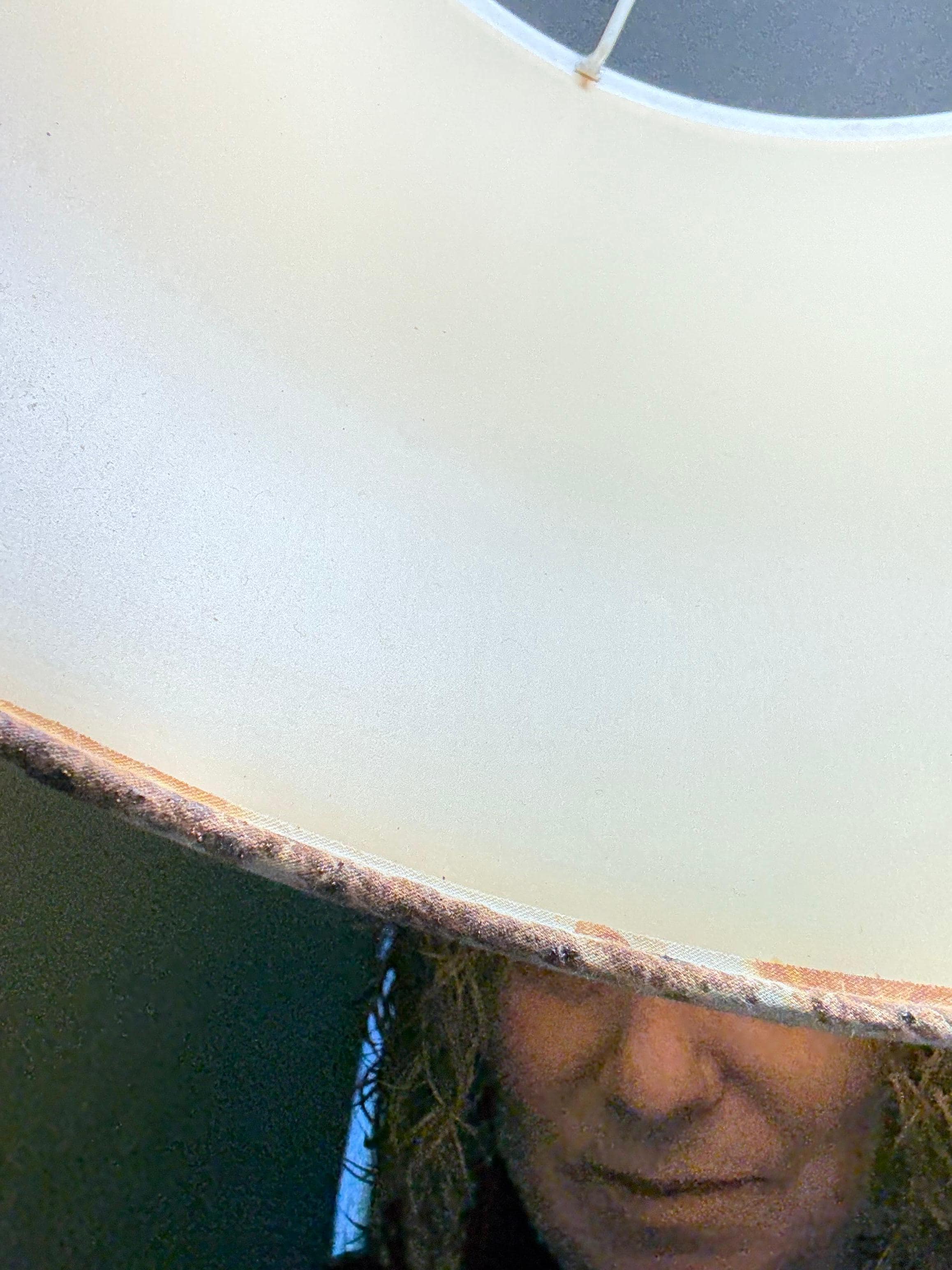 Mold on the lampshades