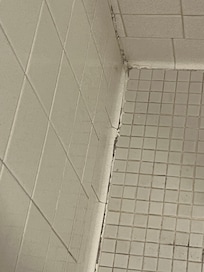 Main bath