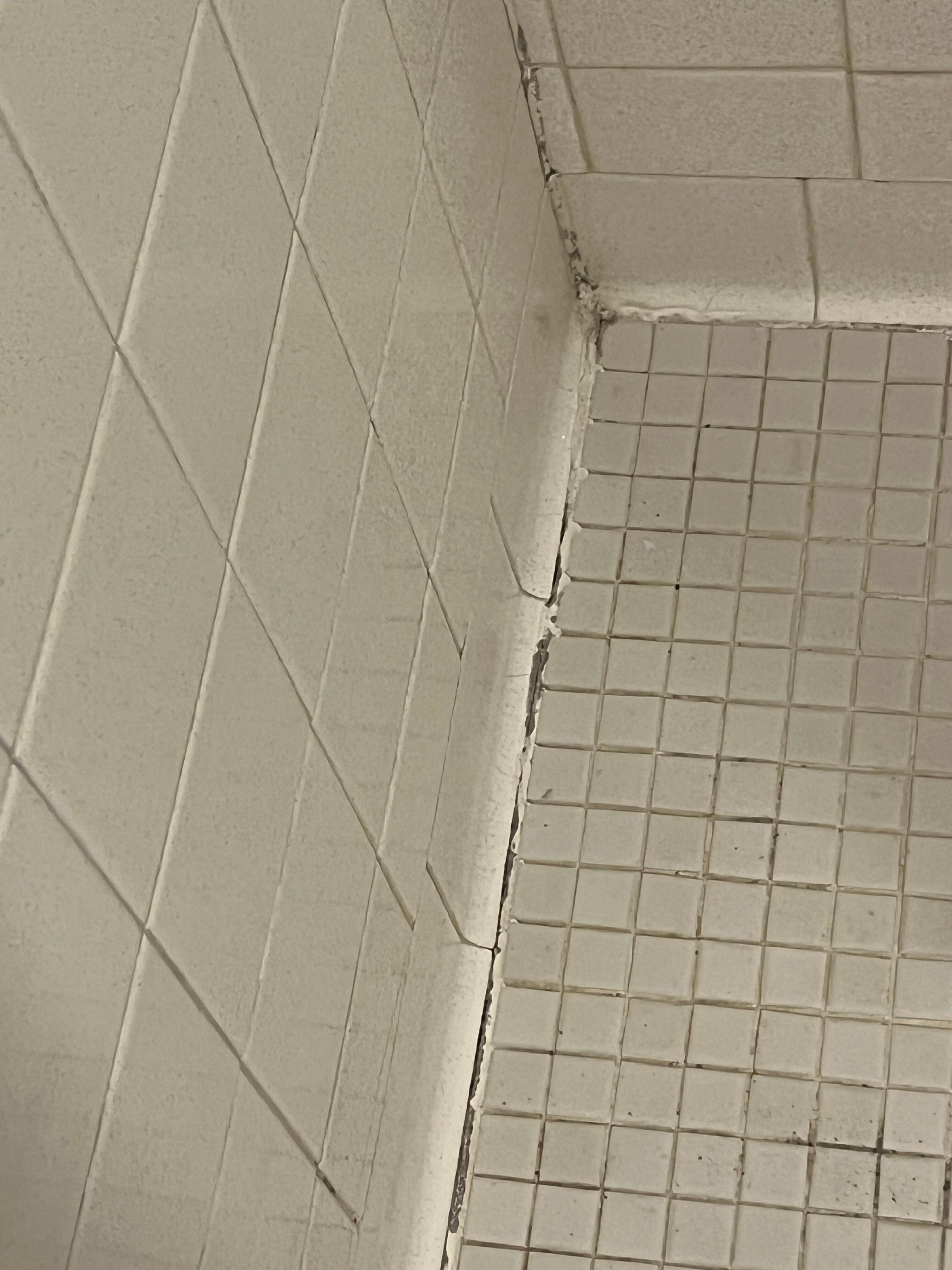 Main bath