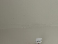 Spider web located above bath tub.