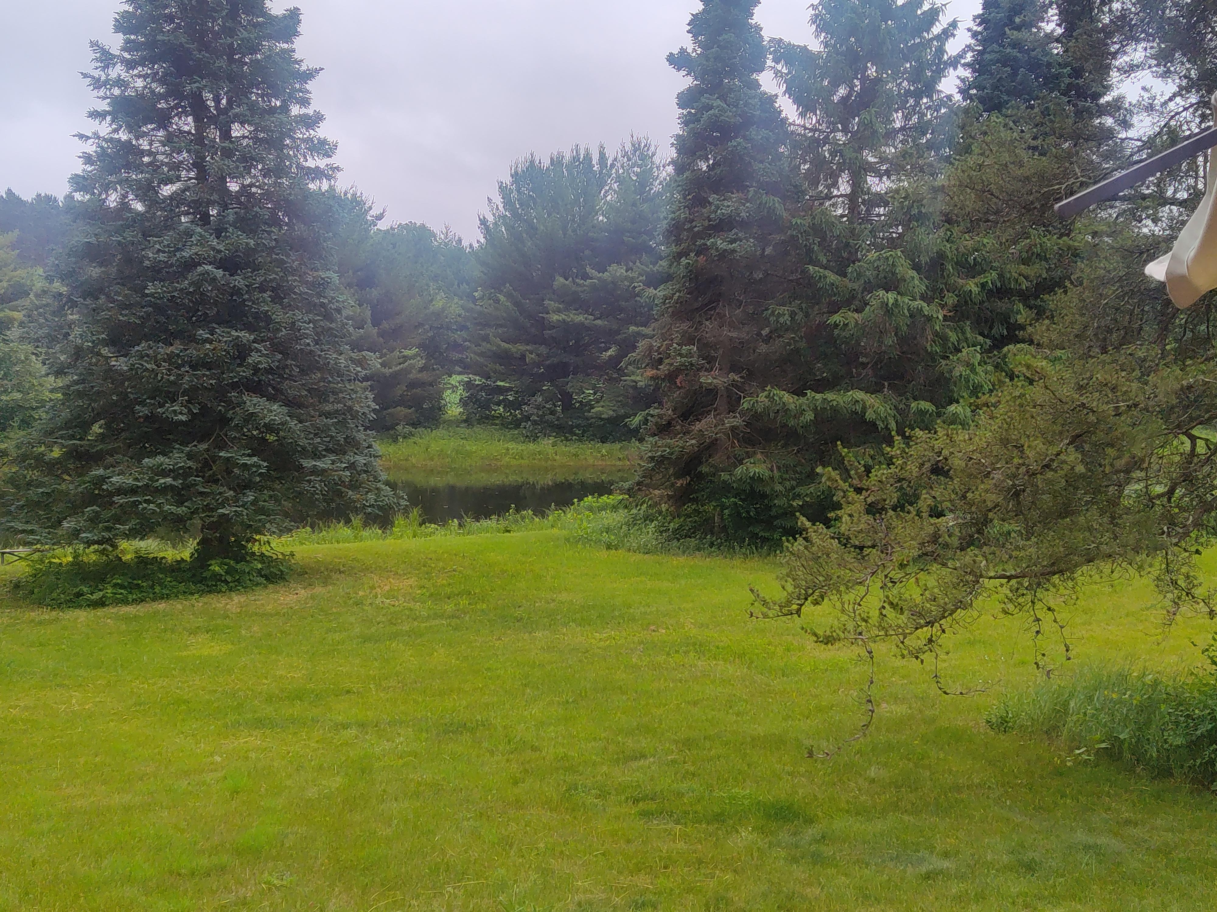 Yard view