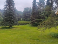 Yard view