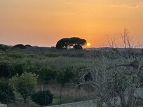 From roof terrace