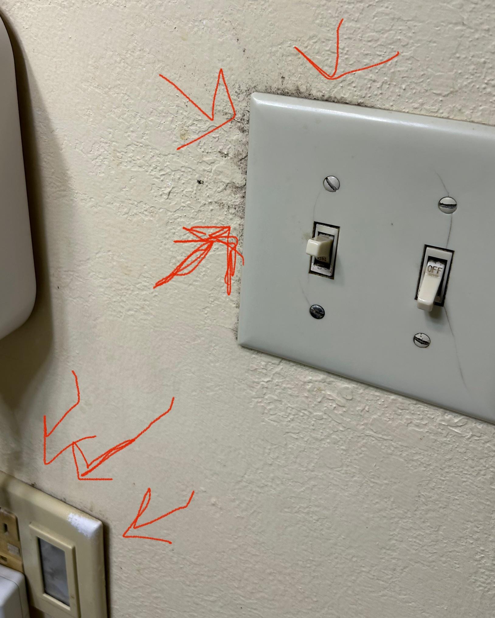 Mold growing around switch plate close to other electrical outlet. 