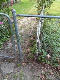 Hole in the fence.